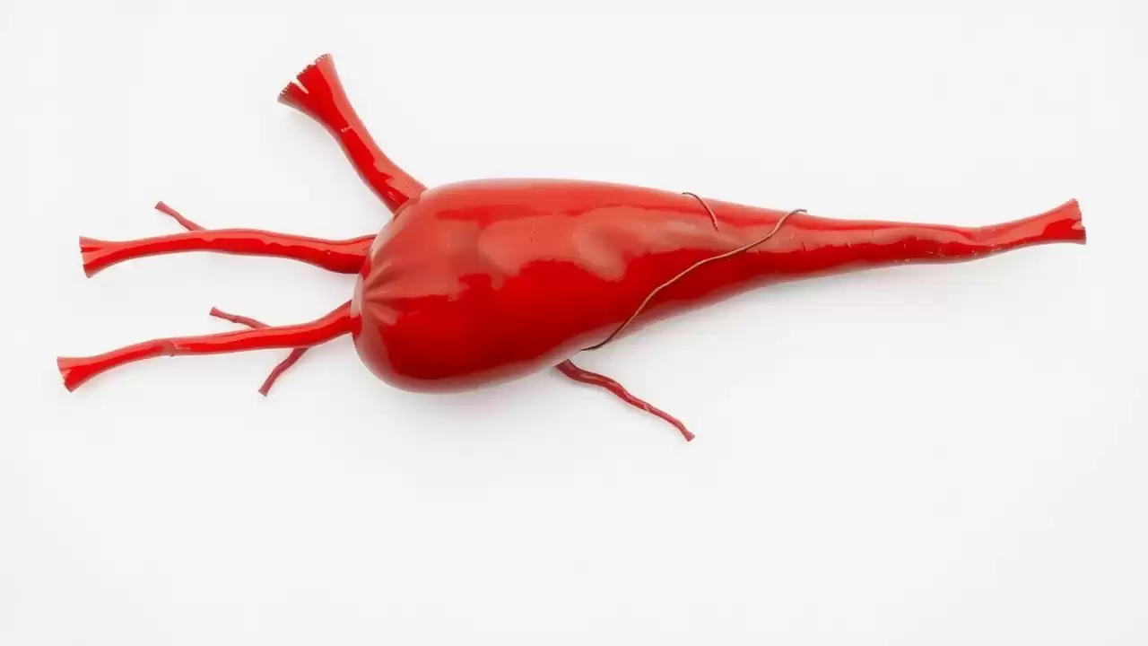 Exercițiile fizice depășesc medicamentele în protecția cardiovasculară după slăbire