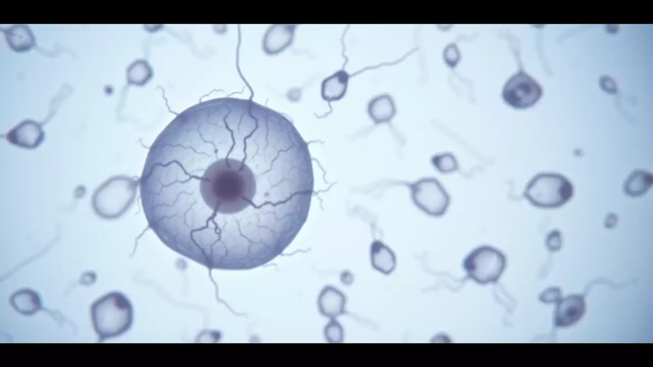 Femeile cu insuficiență ovariană prematură prezintă risc ridicat de depresie