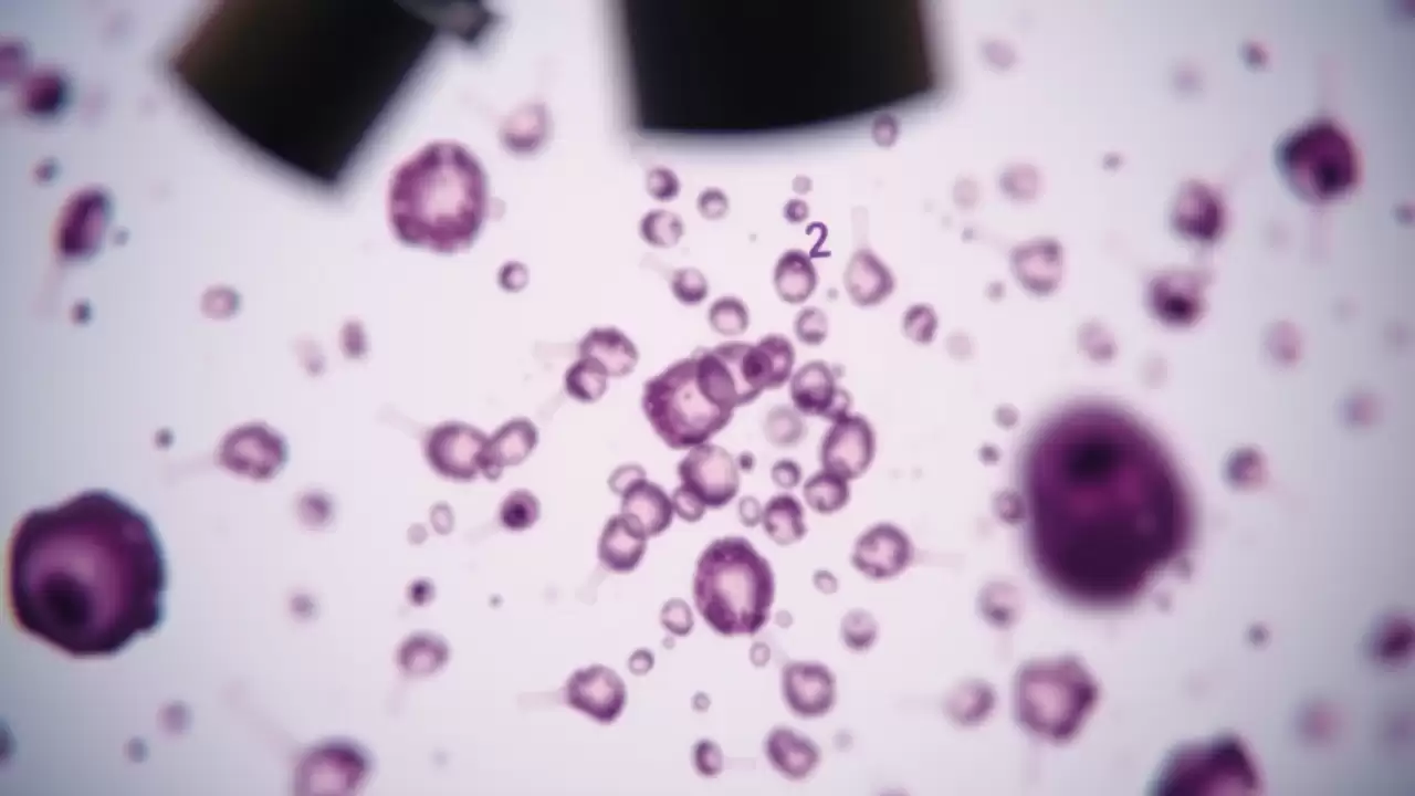Plasturii hormonali mai siguri decât terapia orală pentru diabetice