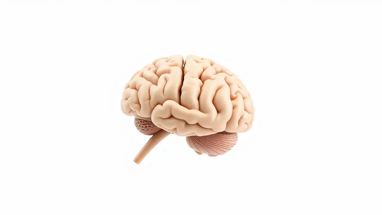 Proteina midkine protejeaza impotriva bolii Alzheimer