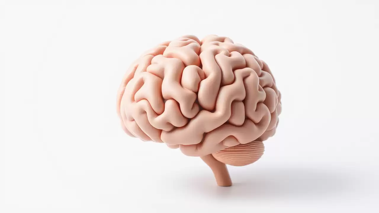 Studiu american: schimbarile de stil de viata reduc alzheimer