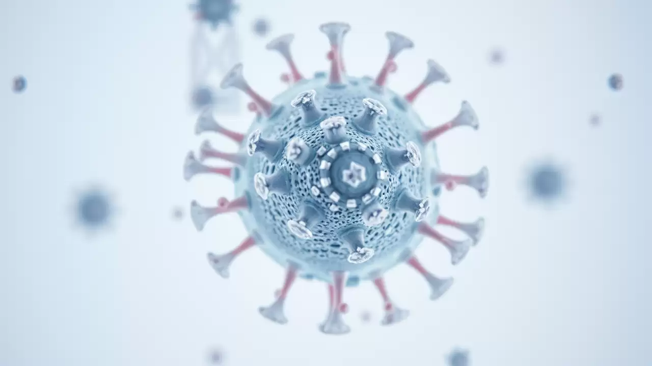 Virusul herpetic remodulează arhitectura genomului uman în câteva ore de la infecție