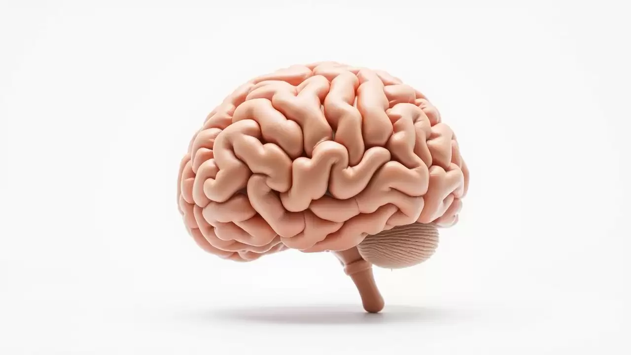 Boala parodontala creste riscul de modificari cerebrale cu 56%