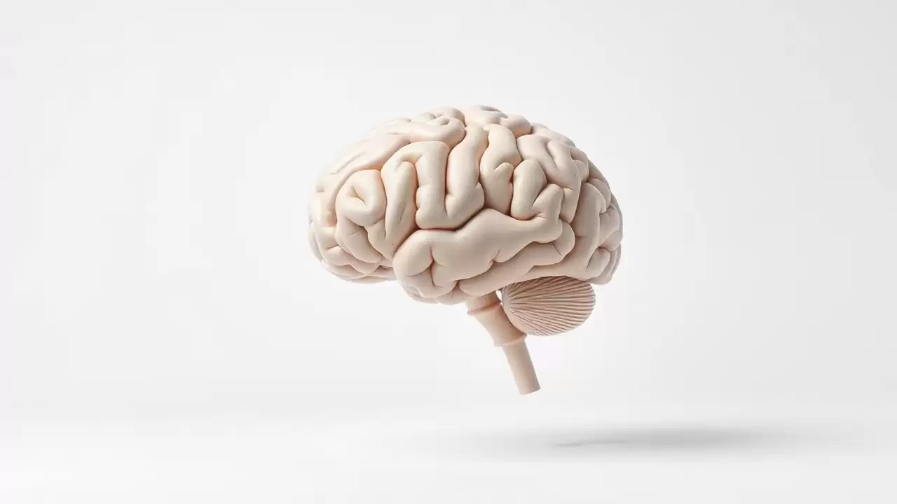 Celule imune tinere inverseaza Alzheimer la soareci