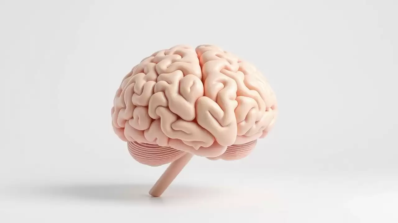 Creierul poate reduce durerea cronica prin neuroni specializati