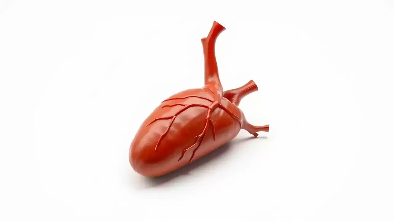 Experții analizează rolul inteligenței artificiale în tratamentul accidentelor vasculare cerebrale