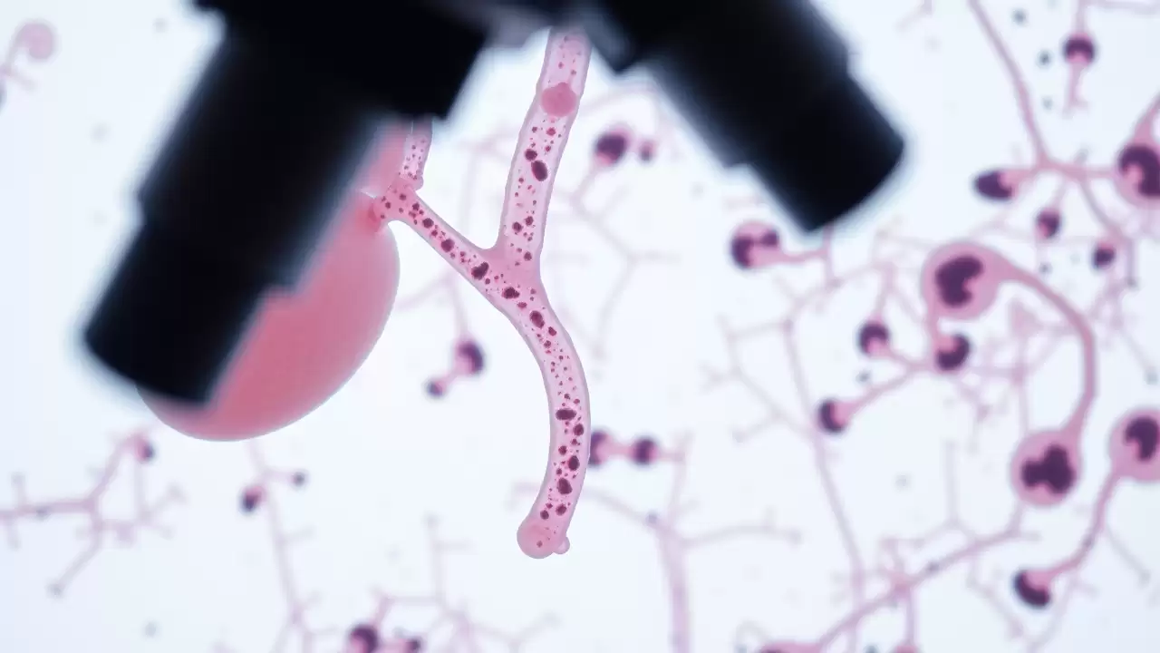Genele obezității influențează direct complicațiile diabetului