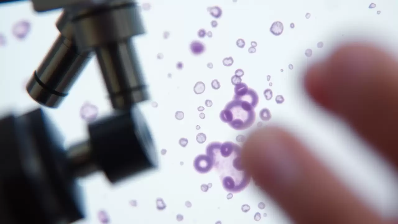 Medicament experimental tratează simultan diabetul și bolile cardiovasculare
