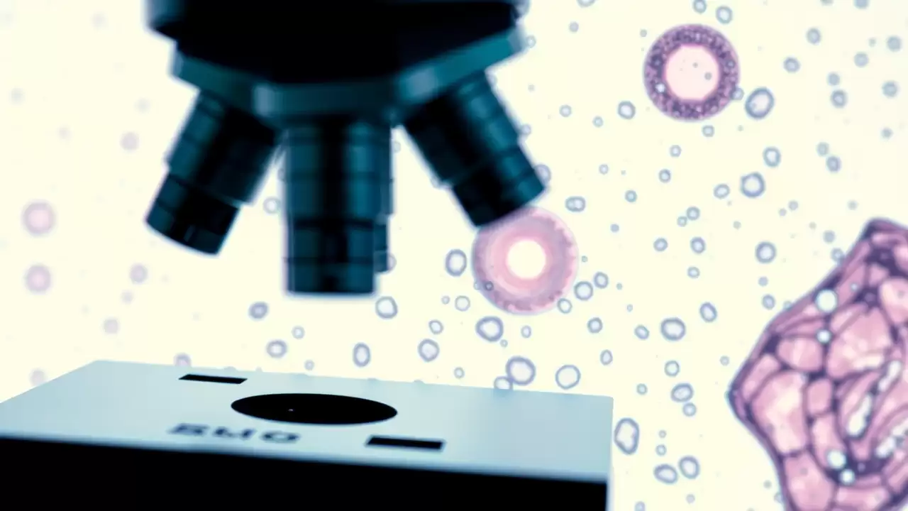 Microscopia revoluționară reconstruiește istoricul glicemic pe 120 de zile