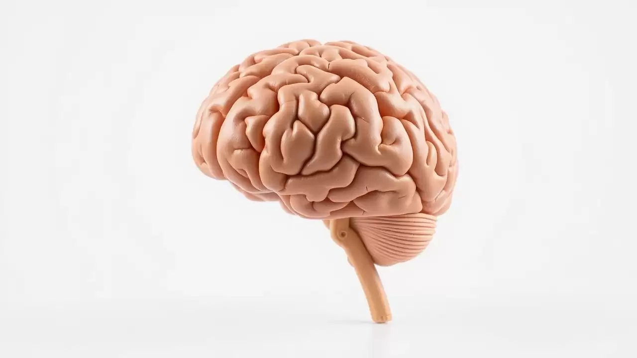 Neuron artificial revolutionar imita celulele cerebrale