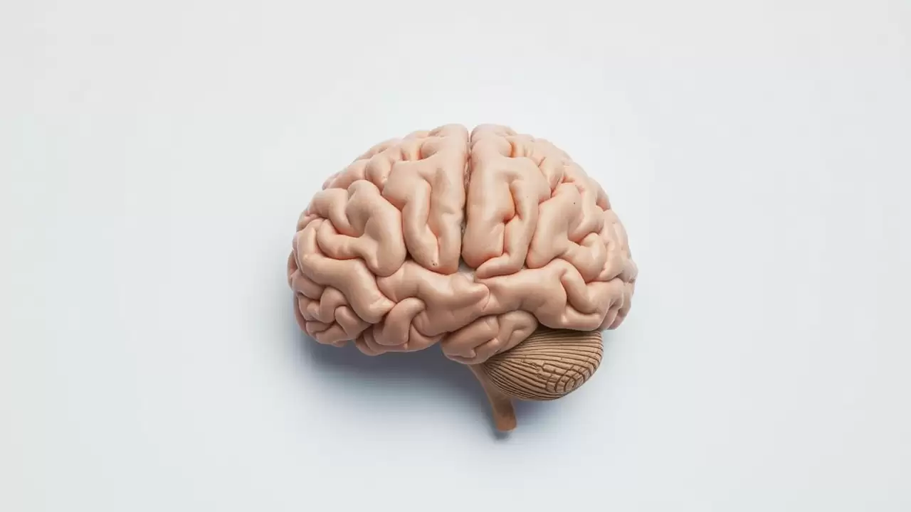 Noua metoda de scanare cerebrala detecteaza Alzheimer precoce