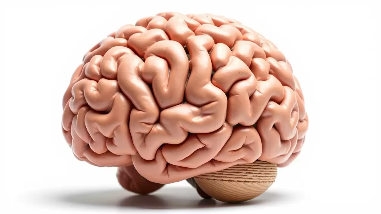Studiu lsd reduce anxietatea cu 5-6 puncte pe scala medicala