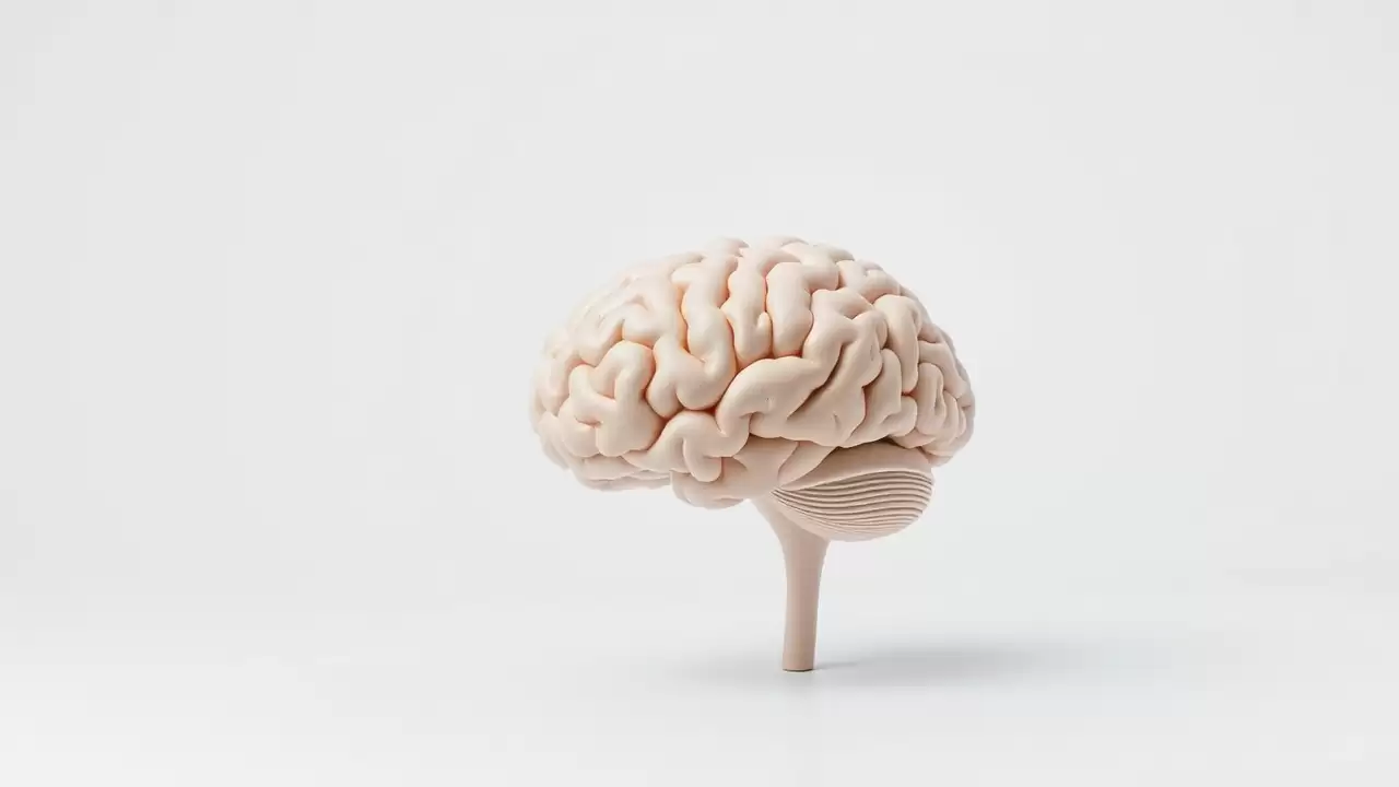Toxinele bacteriene provoaca Alzheimer la delfini esuati
