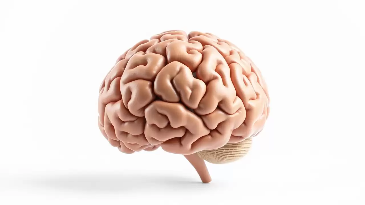 Tratament revoluționar pentru Alzheimer testat cu succes