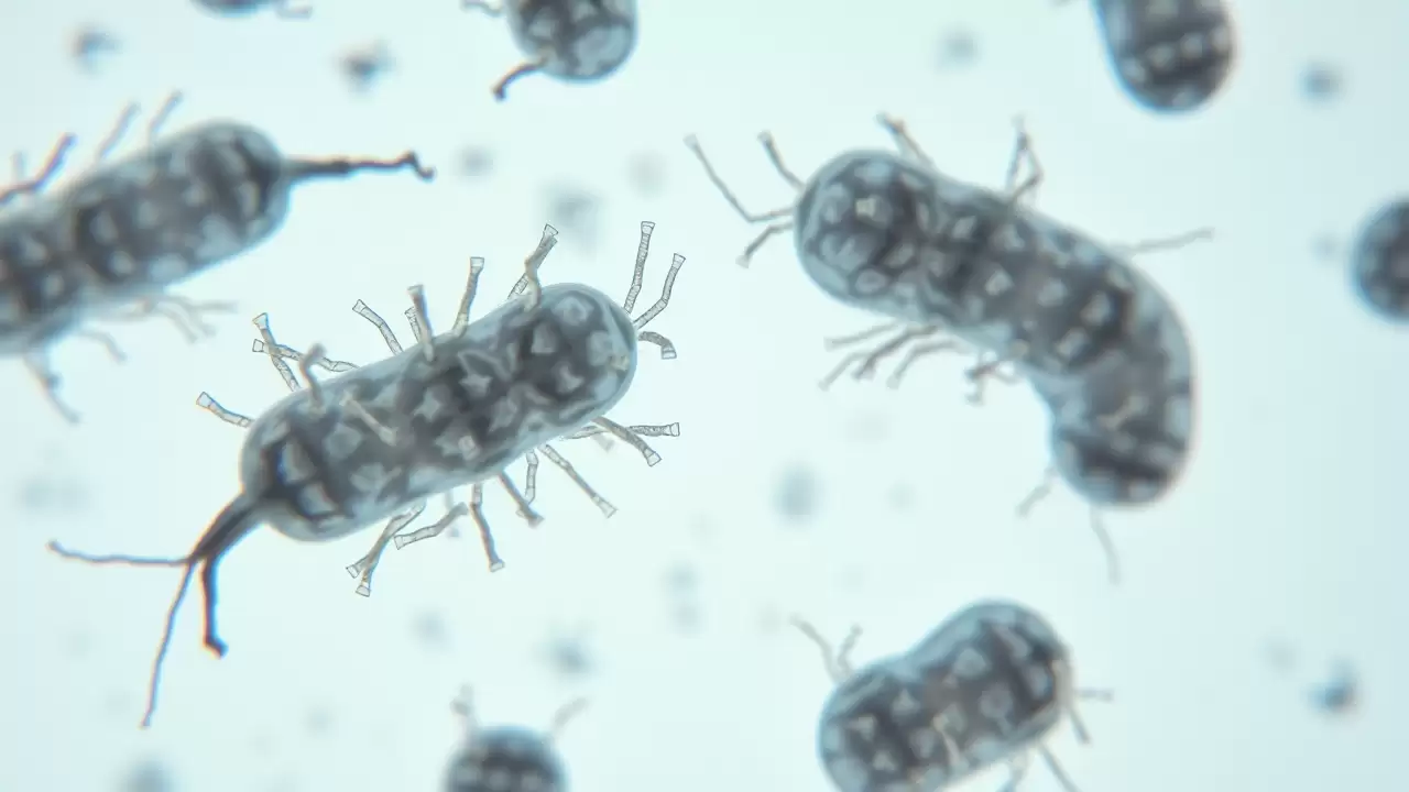 Bacteriile folosesc virusuri inactive ancestrale pentru apărarea împotriva infecțiilor noi