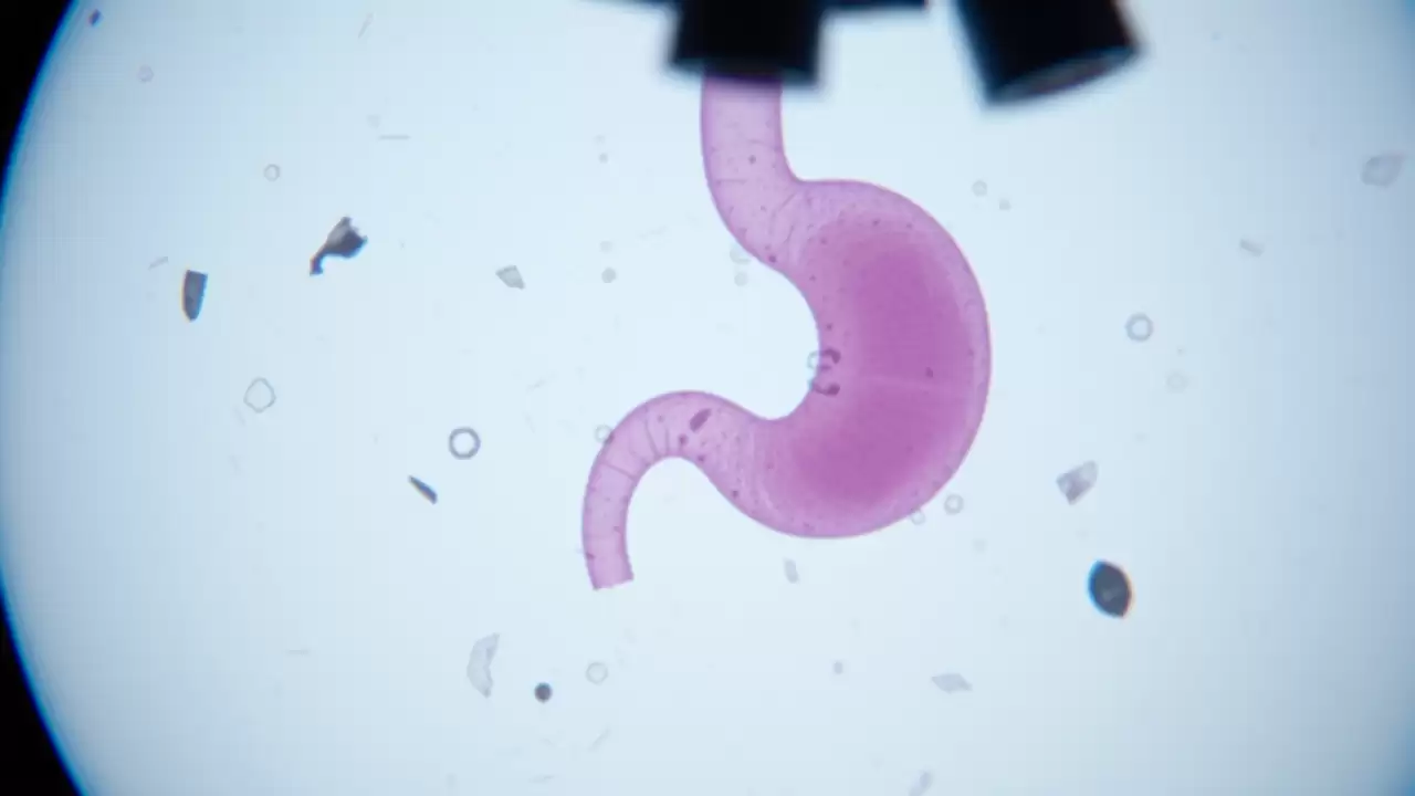 Celule din stomac transformate în producătoare de insulină pentru tratarea diabetului