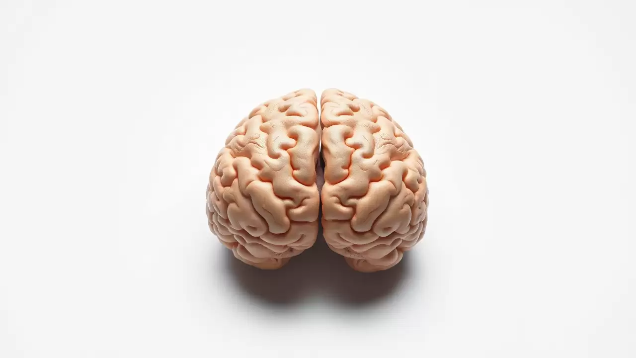 Cercetatorii descopera sursa surprinzatoare a deteriorarii neuronale