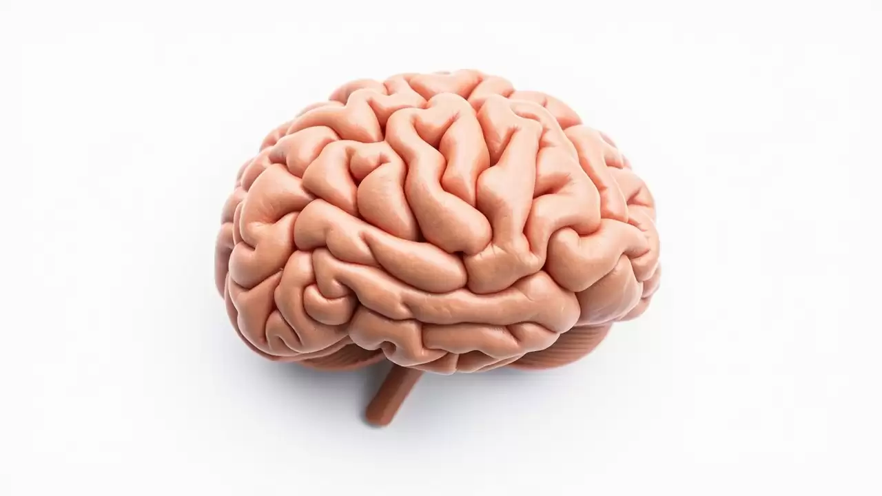 Noul CBD-IN reduce durerea neuropata prin nanotehnologie