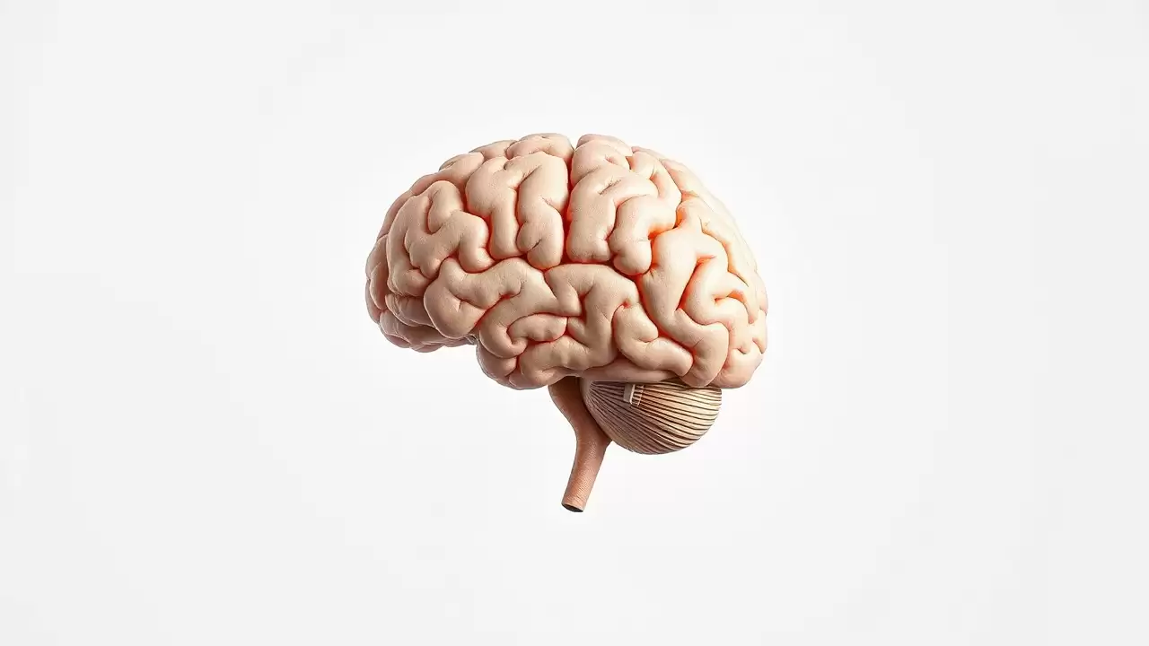 Studiu revolutionar: celule imune protectoare in Alzheimer