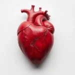 Știre despre boli, cardiovascular și cercetare