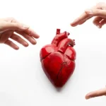 Știre despre activitate, cardiac și infarct