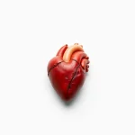 Știre despre biomarkeri, cardiac și creier