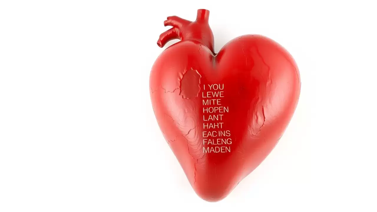 Polifenolii din alimente reduc riscul cardiovascular conform unui nou studiu