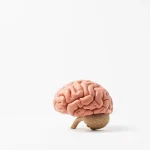 Știre despre boala Alzheimer, cannabidiol și neuroinflamatie