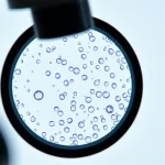 Știre despre ADN, aging și anti-aging therapies