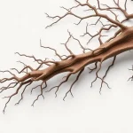 Știre despre activitate neuronala, imagistica cerebrala și simptome emotionale