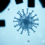 Știre despre antiviral drugs, ARN și boli