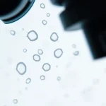 Știre despre medical, sistem imunitar și sistemul imunitar