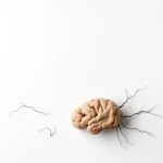 Știre despre autism, conexiuni cerebrale și gene sinaptice
