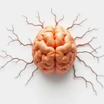 Știre despre ataxie spastica, neurodegenerare și tulburari de miscare