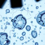 Știre despre ADN, cancer cells și cercetare