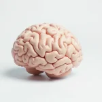 Știre despre compus pe baza de cupru, proteine toxice și tratament experimental
