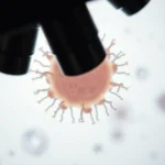 Știre despre ace, coronavirus și COVID-19